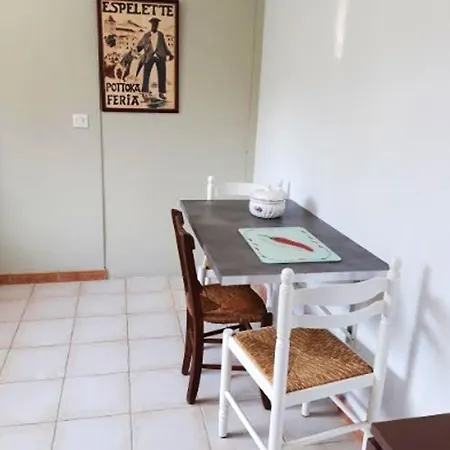 Appartement D'Une Chambre A Saint Pee Sur Nivelle Avec Magnifique Vue Sur La Montagne Jardin Clos Et Wifi Saint-Pee-sur-Nivelle