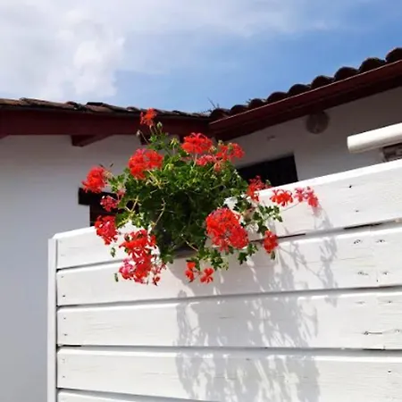 Apartment Appartement D'Une Chambre A Saint Pee Sur Nivelle Avec Magnifique Vue Sur La Montagne Jardin Clos Et Wifi